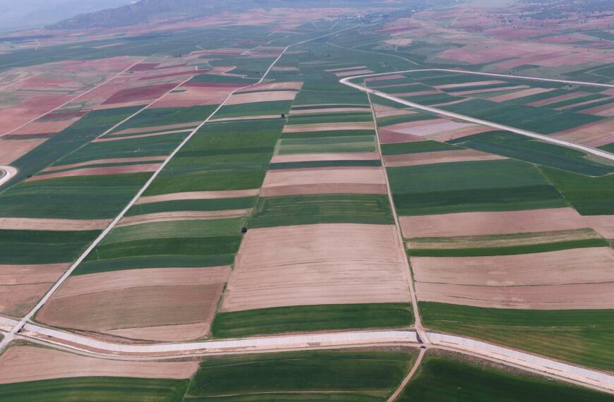 Kırklareli’nde 15 Yerleşimde Arazi Toplulaştırması Kararı